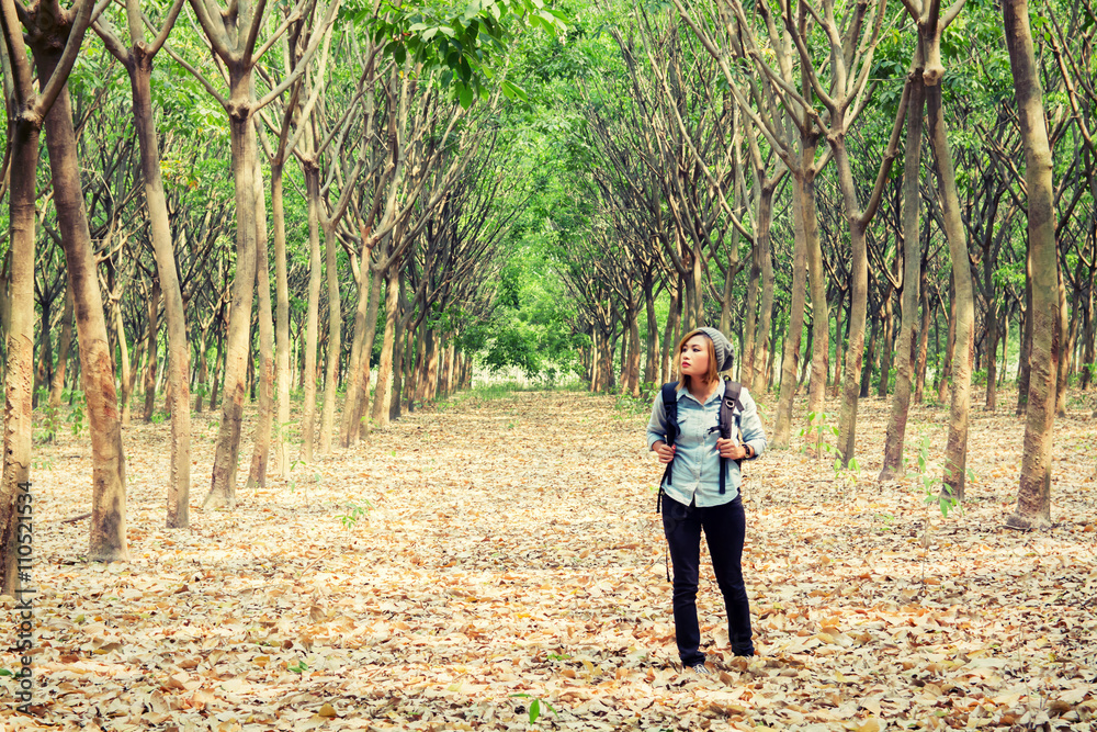Beautiful young woman carrying backpack walking in forest Beautiful young woman carrying backpack walking in forest
