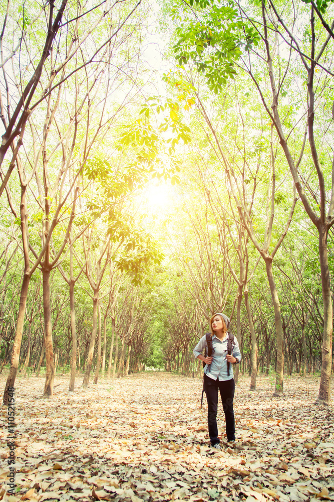 Beautiful young woman carrying backpack walking in forest Beautiful young woman carrying backpack walking in forest
