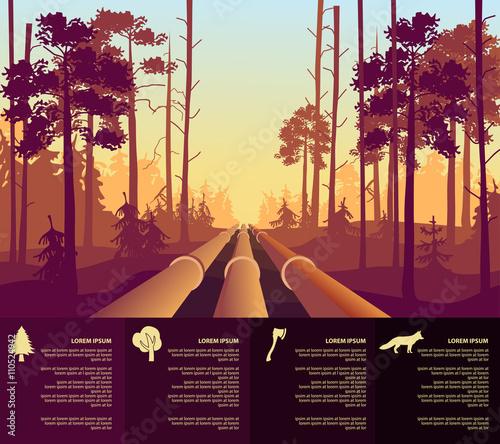 oil the pipeline in the forest