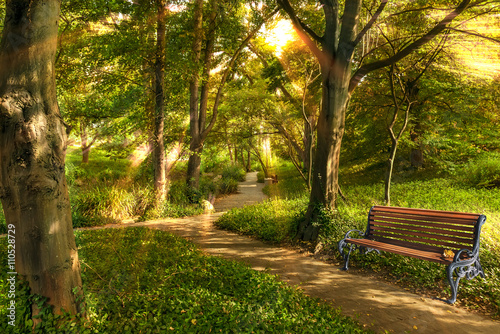 Park ,bench in the morning light.
