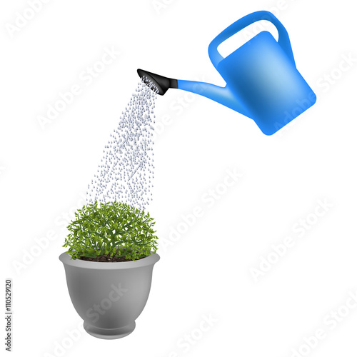 watering pot