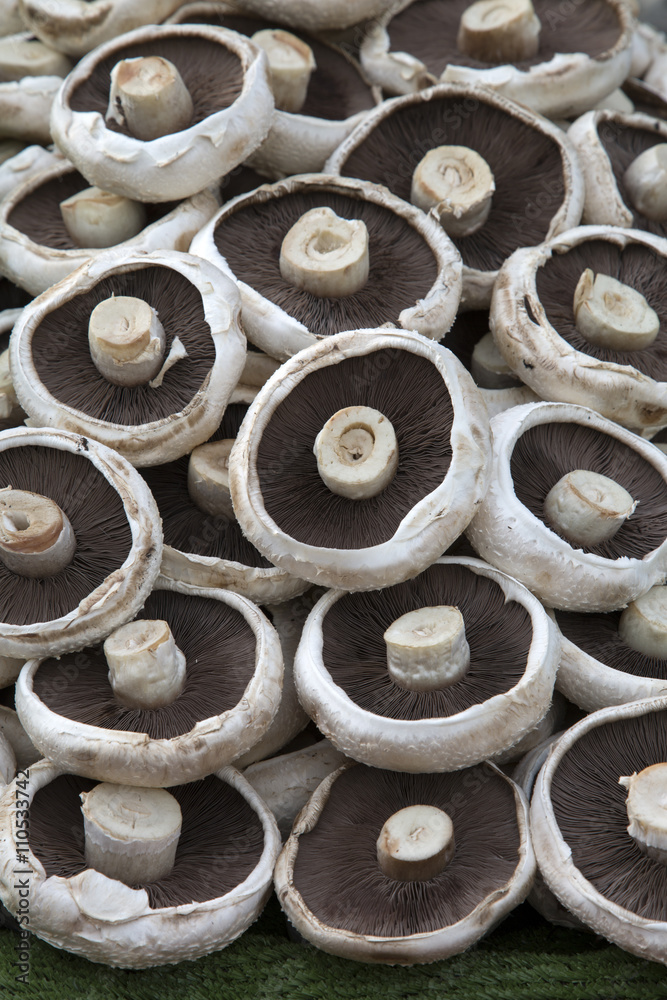 Portabella Mushroom Background