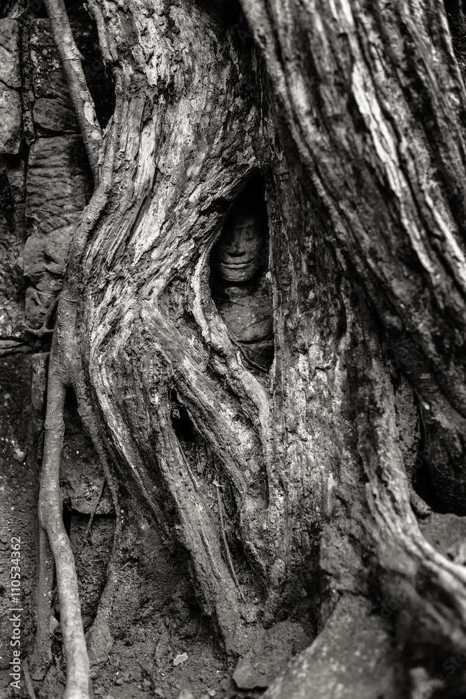 Fototapeta premium Cambodia. Angkor Wat