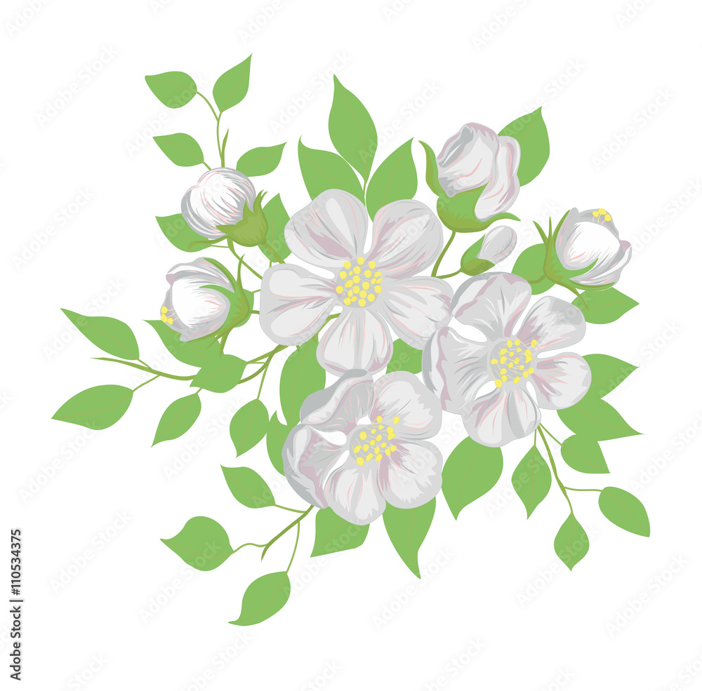 Fototapeta premium Vector illustration. The blossoming apple-tree branch.