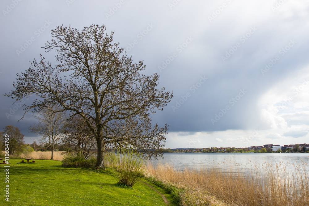 Fototapeta premium fields and meadows of Jutland