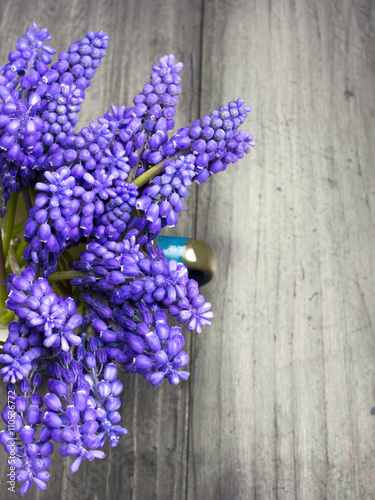 Muscari bouquet on a dark wooden table