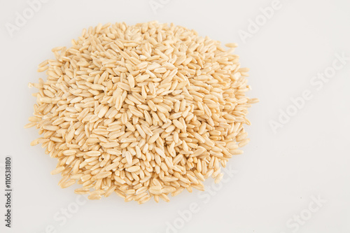 Grain of oats isolated on a white background
