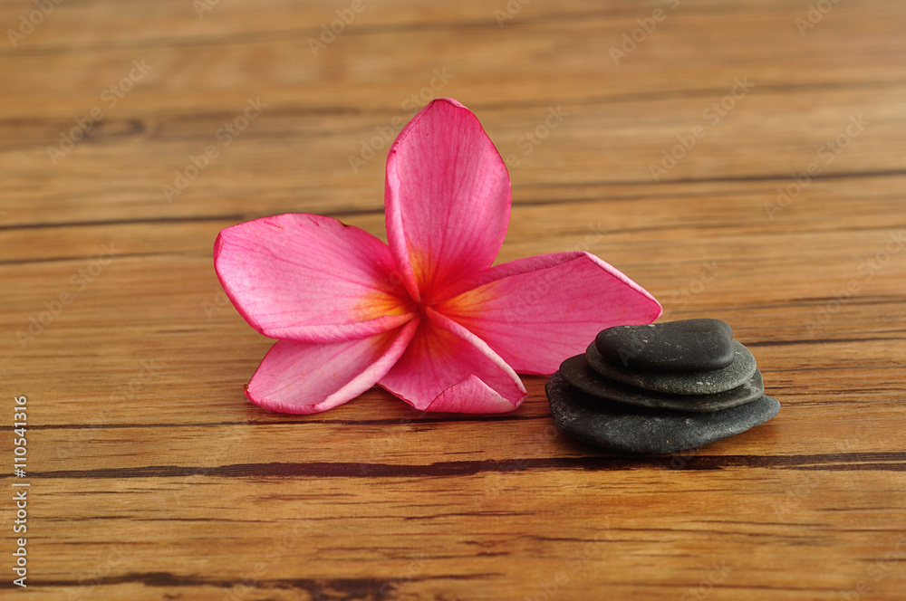 A pink frangipani flower displayed with a stack of pebbles A pink frangipani flower displayed with a stack of pebbles