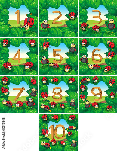 Number one to ten with ladybugs background