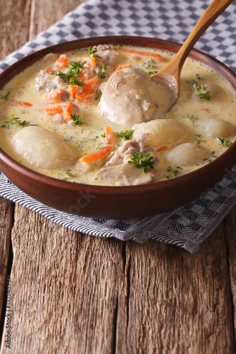 Belgian hot cream soup with chicken waterzooi close up in a bowl. vertical
 photo