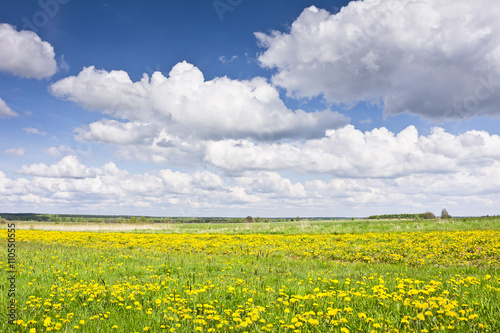 Krajobraz z mleczami, łąkami i chmurami na błękitnym niebie. Wiejski krajobraz wczesną wiosną w pogodny dzień.