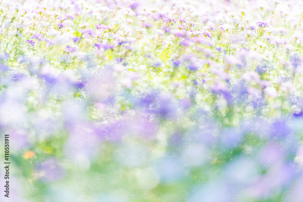 flower flower