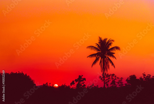 Silhouette coconut palm trees at sunset. Vintage tone.