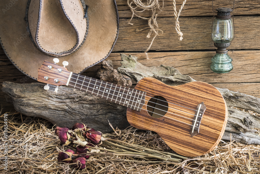 Still life photography with ukulele and dry roses with american west rodeo  brown felt cowboy hat in vintage ranch barn background Stock-Foto | Adobe  Stock