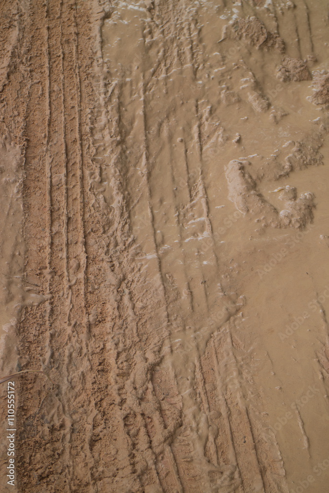 Fototapeta premium Vertical overhead MCU , muddy jungle road