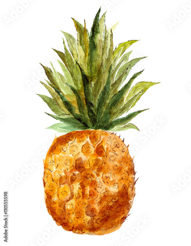 Illustration of pineapple in watercolor technique