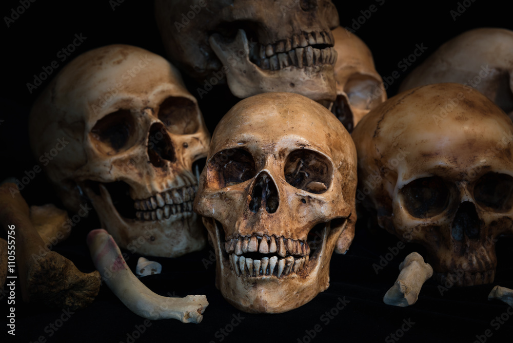 Closeup Pile of skulls and animal bones on black fabric background, Genocides concept still life style. Closeup Pile of skulls and animal bones on black fabric background, Genocides concept still life style.