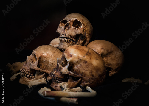 Pile of skulls and animal bones on black fabric background. Genocides concept still life style.