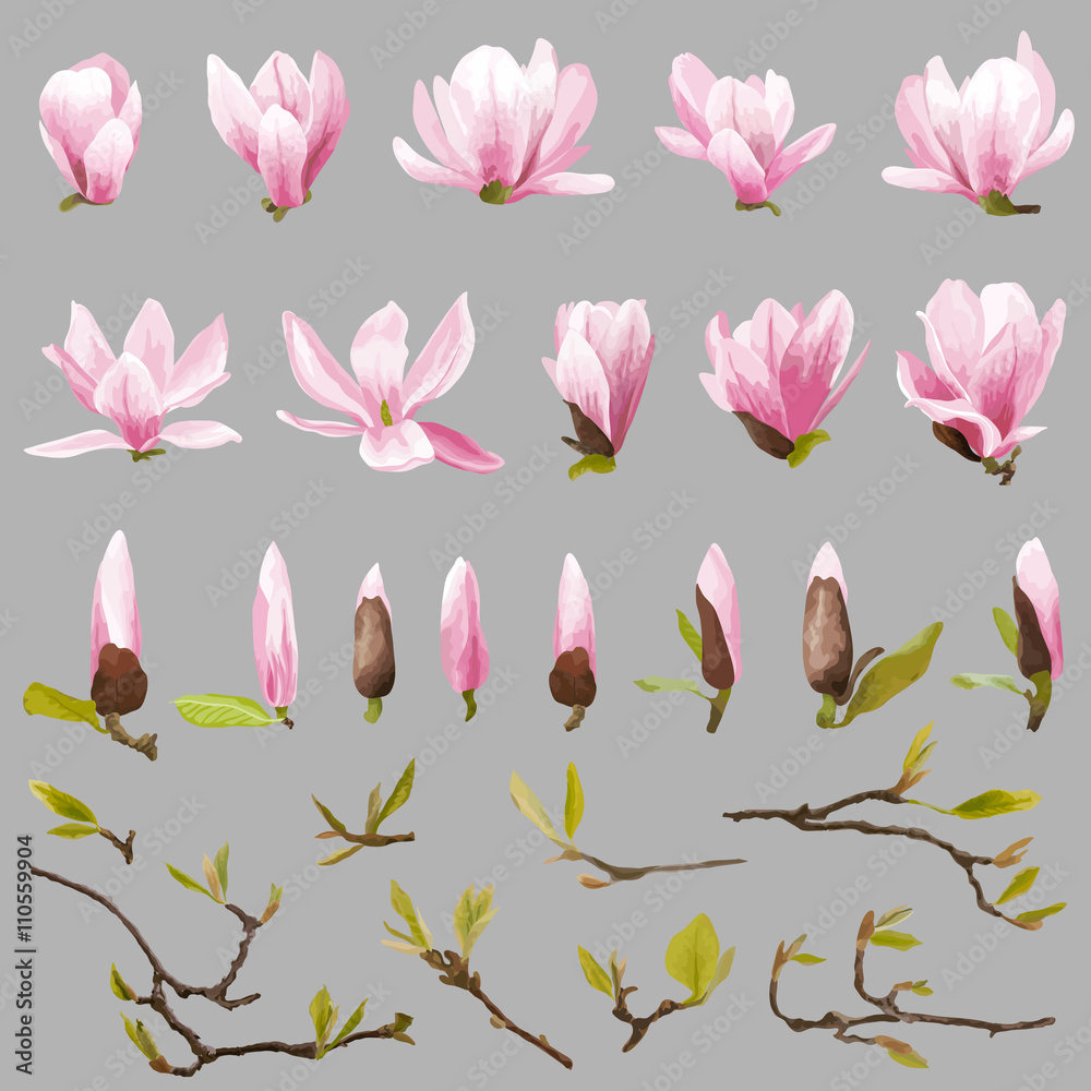 Naklejka premium Magnolia Flowers and Leaves Set. Exotic Flower. Vector