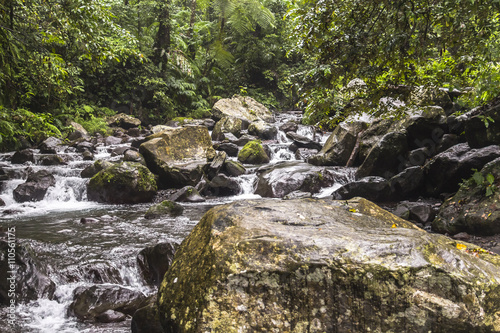 River in the jungle of Lombok