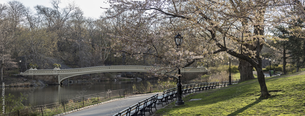 Obraz premium Bow bridge