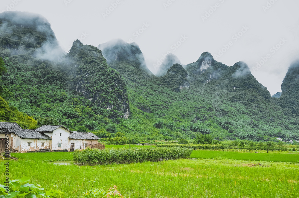 Beautiful rural scenery in the mist