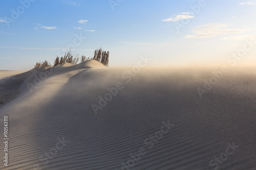 Dunes in Northern Europe