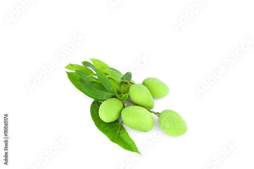 Fresh green mango with drop water on white background.