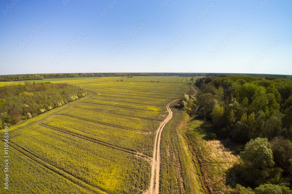 Spring time in latvian countryside.