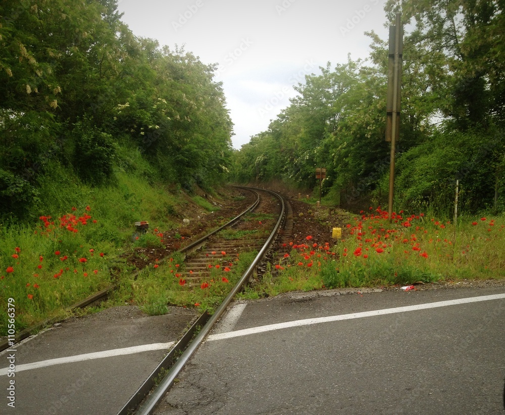 Fototapeta premium ferrovia in fiore