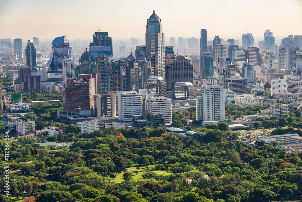 Fototapeta premium park in the city