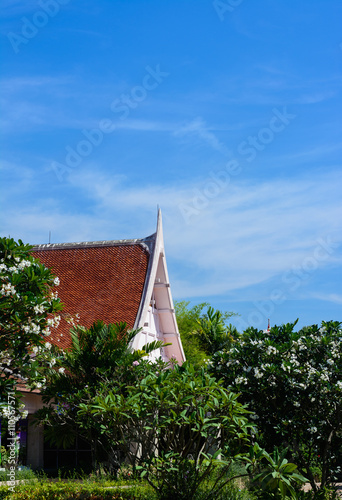 red tiled roof. With blue sky and green tree.