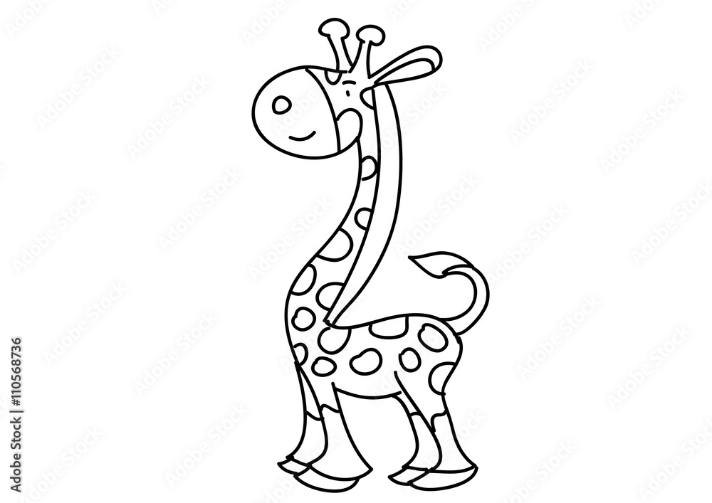 Fototapeta premium żyrafa