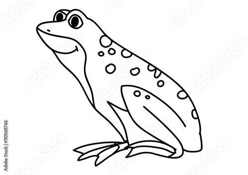 żaba