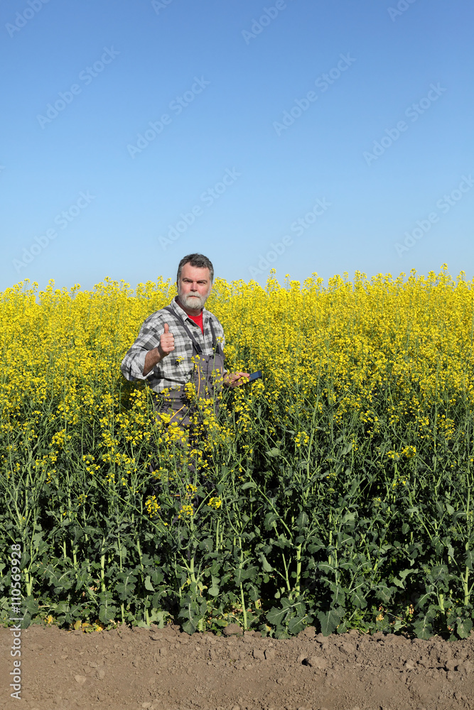 Farmer or agronomist gesturing in blossoming rapeseed field