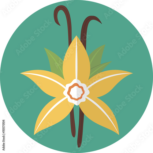 Vanilla flower with sticks, flat icon. Spices blossom. Yellow petals of blooming vanilla flower with pods. Ingredient for baking. Colorful vector illustration
