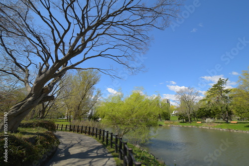 public park
