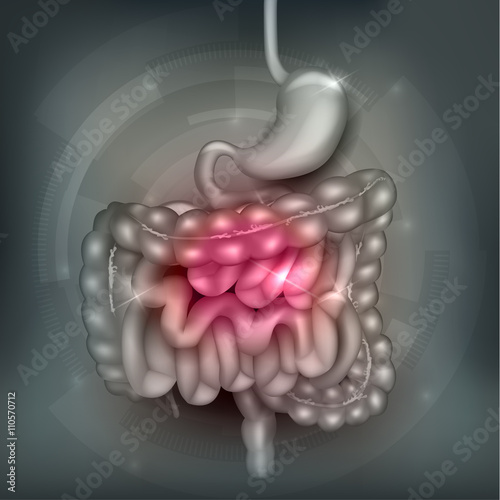 Gastrointestinal tract. Stomach, small intestine and colon, abstract grey mesh background. Beautiful bright illustration.