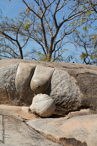 Ouagadougou, laongo park photo