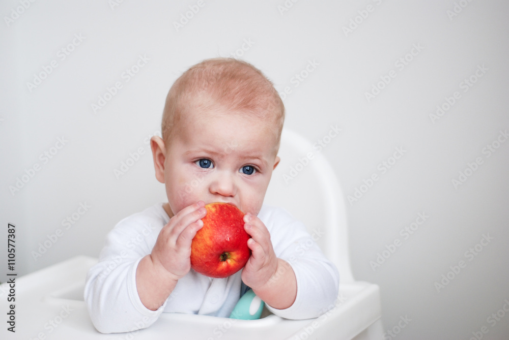 Baby sitting in child chair and eating big red apple
Baby sitting in child chair and eating big red apple