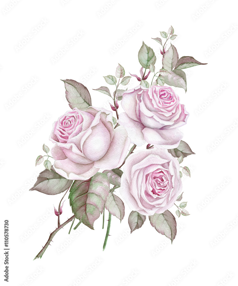Vintage bouquet of pink roses Stock Illustration | Adobe Stock