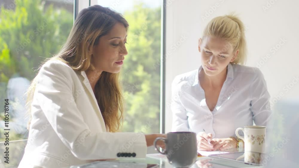Attractive businesswomen in a meeting shake hands on a deal Attractive businesswomen in a meeting shake hands on a deal