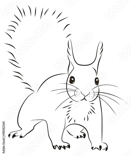 Белка