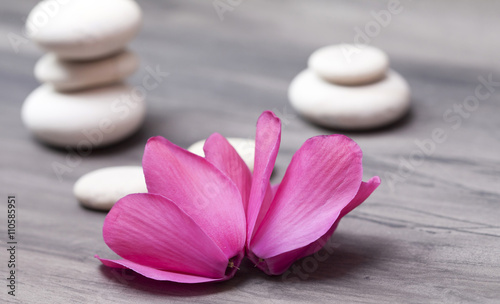 Spa still life with pink orchid and white zen stones on dark background - retro styled photo