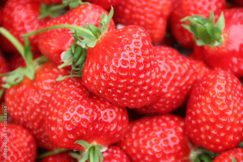 Fraises Fraises