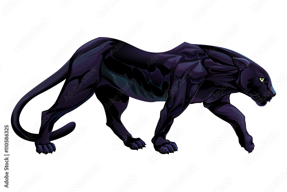 Obraz premium Illustration of a black panther