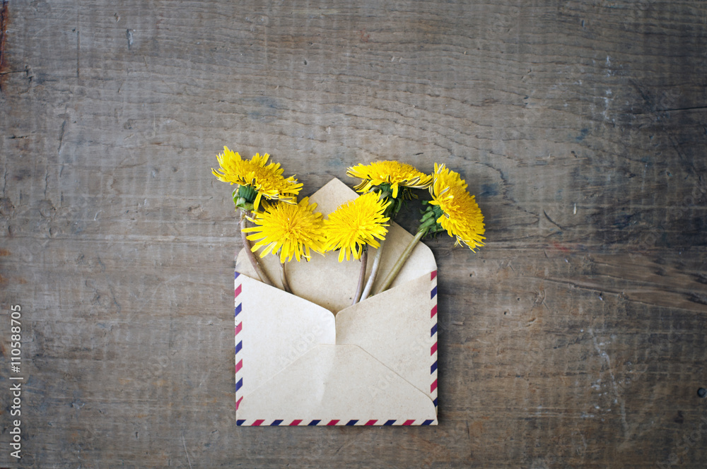 Obraz premium dandelion flowers in the envelope