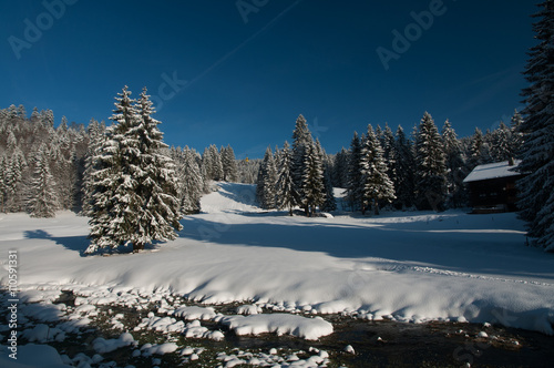 Schneelandschaft beim Belchen (Schwarzwald)