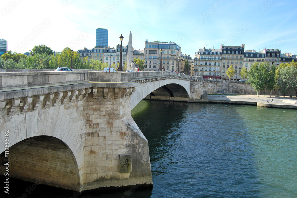 Paris and the Seine - France