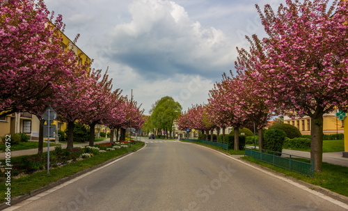 Bechyne city.